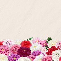 Spring carnation flowers background, botanical aesthetic border 