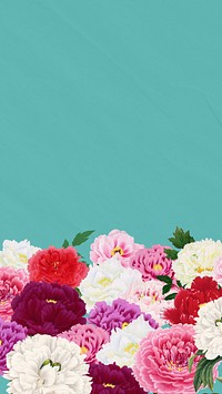 Spring carnation flowers mobile wallpaper, botanical aesthetic border background