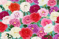 Colorful carnation flowers background, botanical pattern illustration