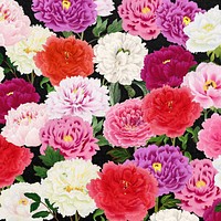 Colorful carnation flowers background, botanical pattern illustration