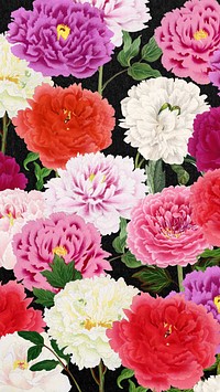 Colorful carnation flowers iPhone wallpaper, botanical pattern background