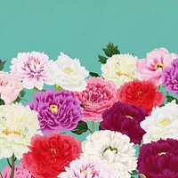 Spring carnation flowers background, botanical aesthetic border 