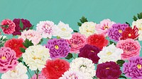 Spring carnation flowers mobile wallpaper, botanical aesthetic border background