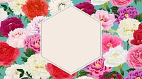 Colorful carnation flowers desktop wallpaper, geometric frame background