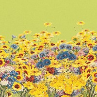 Yellow flower field background, Spring aesthetic 