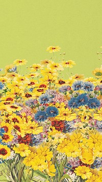 Yellow flower field phone wallpaper, Spring aesthetic background