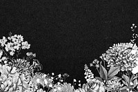 Vintage flower border background, black and white botanical illustration