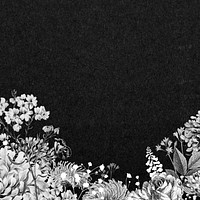 Vintage flower border background, black and white botanical illustration