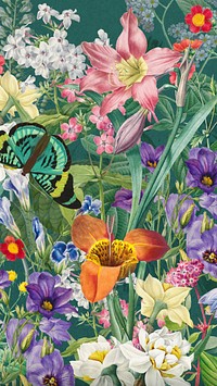 Aesthetic wildflower pattern iPhone wallpaper, vintage botanical illustration