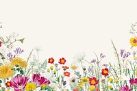 Spring wildflower border background, colorful botanical illustration