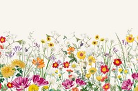 Spring wildflower border background, colorful botanical illustration