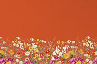 Spring wildflower border background, colorful botanical illustration