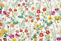 Spring flower pattern background, aesthetic botanical illustration