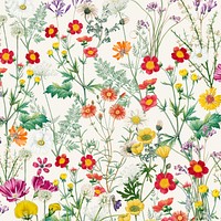 Spring flower pattern background, aesthetic botanical illustration