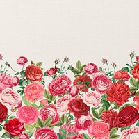 Valentine's flower border background, pink roses illustration