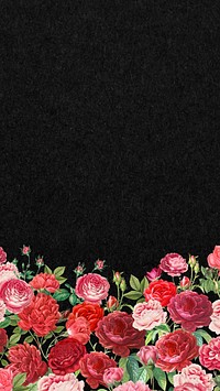 Valentine's flower border mobile wallpaper, pink roses background