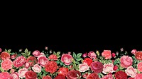Valentine's flower border HD wallpaper, pink roses background