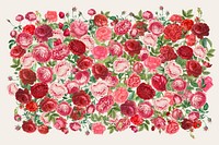 Pink Valentine's roses, flower collage art