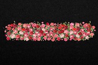 Valentine's rose flower divider, pink illustration