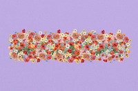 Summer flowers divider, colorful botanical illustration