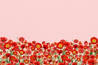Poppy  flower border background, Summer floral illustration