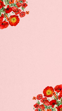 Poppy flower border phone wallpaper, Summer floral background