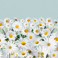 Daisy flower border background, pastel yellow design