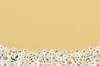 Daisy flower border background, pastel yellow design