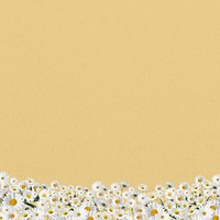 Daisy flower border background, pastel yellow design