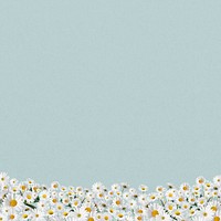 Daisy flower border background, pastel blue design