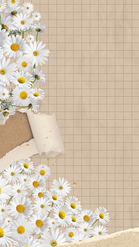 Ripped paper daisy mobile wallpaper, grid patterned background