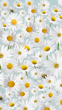 Daisy floral pattern mobile wallpaper, white  flower background