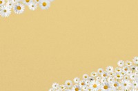 Daisy flower border background, pastel yellow design