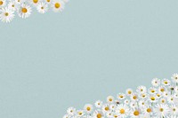 Daisy flower border background, pastel blue design