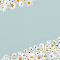 Daisy flower border background, pastel blue design