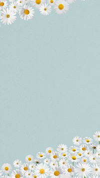 Daisy flower border iPhone wallpaper, pastel blue background