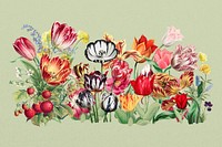 Exotic tulip flower divider, colorful illustration