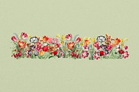 Exotic tulip flower divider, colorful illustration