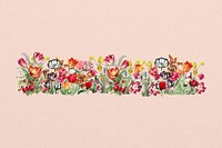 Exotic tulip flower divider, colorful illustration