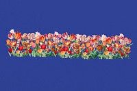 Exotic tulip flower divider, colorful illustration