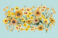 Colorful sunflower divider, Spring floral illustration