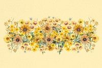 Colorful sunflower divider, Spring floral illustration