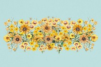 Colorful sunflower divider, Spring floral illustration