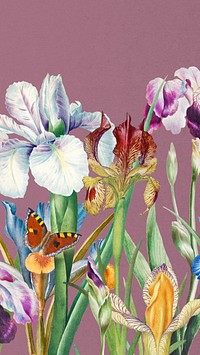 Beautiful iris flowers phone wallpaper, vintage botanical illustration