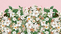 Beautiful jasmine flowers desktop wallpaper, botanical illustration