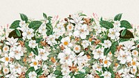 Beautiful jasmine flowers desktop wallpaper, botanical illustration