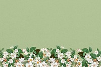 Jasmine flower border background, green textured design