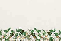 Jasmine flower border background, beige textured design