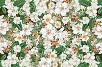 White floral pattern background, Spring flower illustration