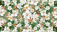 White floral pattern phone wallpaper, Spring flower background